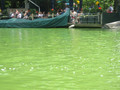 Park 0011