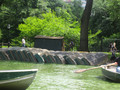 Park 0008
