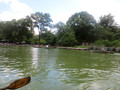 Park 0001