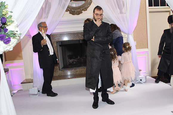FP 0667