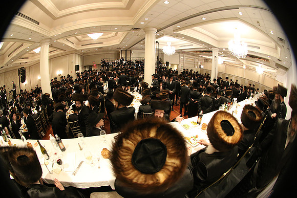 FP 0236