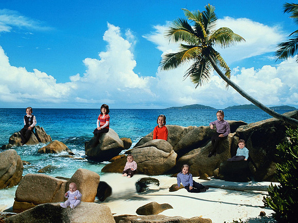beach-palm-tree v6