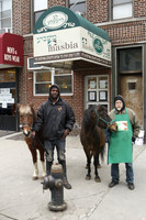 2014, 03.14.14 Masbia with horse